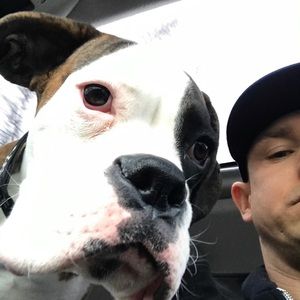 Meet your Posher, Seaver